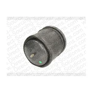 270252 DSS