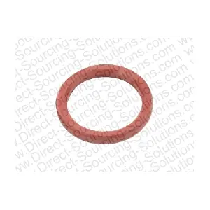 204163 DSS