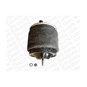 207754OEM DSS