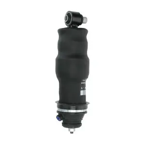 290285OEM DSS