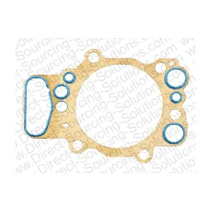 110050 DSS
