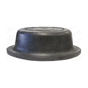 206729 DSS