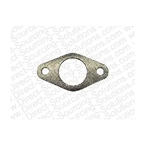 101579 DSS