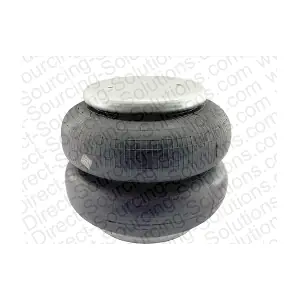 107213OEM DSS
