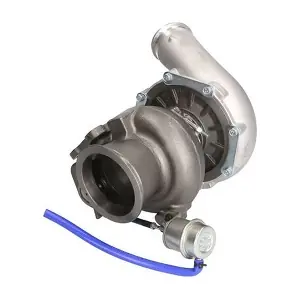 110126OEM DSS