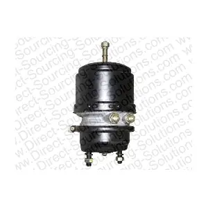 106126OEM DSS