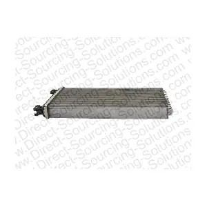 520001 DSS