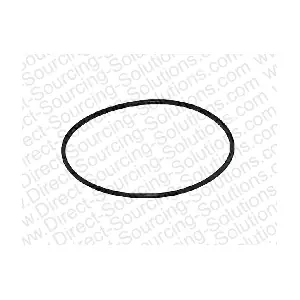 202373 DSS