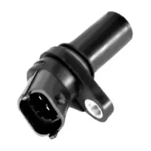 DSS 230024