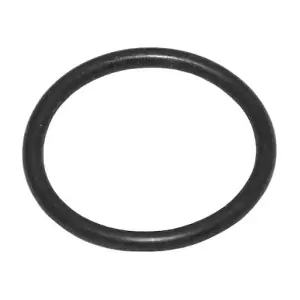 DSS 107417