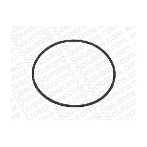 204169 DSS