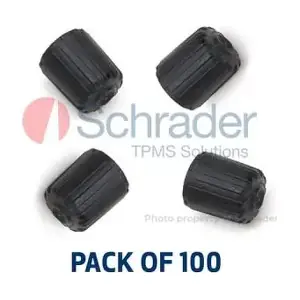 SCHRADER 8031 Датчик обертання колеса, система контролю тиску у шинах