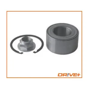 DP2010100378 Dr!ve+