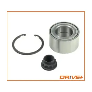 DP2010.10.0110 Dr!ve+