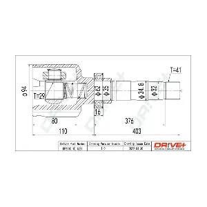 DP2110.10.1631 Dr!ve+