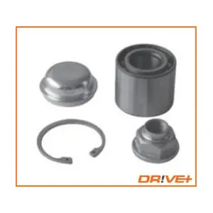DP2010.10.0270 Dr!ve+