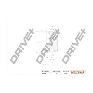 DP1110.11.0254 Dr!ve+