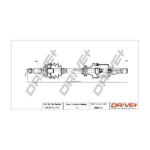 DP2110.10.0819 Dr!ve+