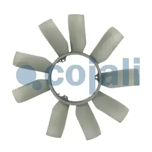 8124605 COJALI