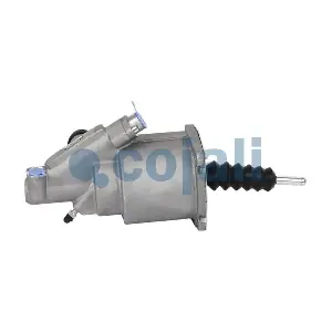 2550506 COJALI