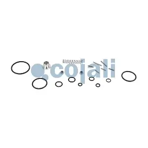 6012250 COJALI