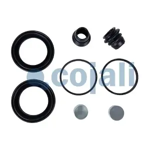 6085000 COJALI