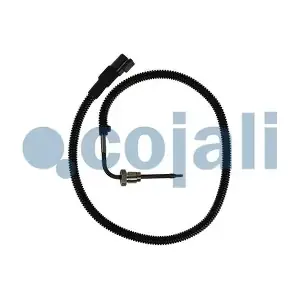 2260905 COJALI