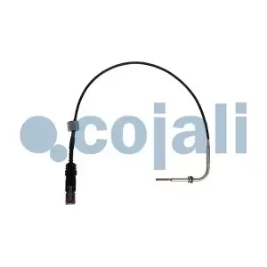 2260907 COJALI