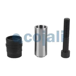 6084031 COJALI