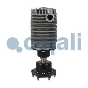 2480007 COJALI