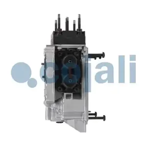 352102 COJALI