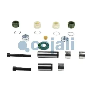 6082011 COJALI