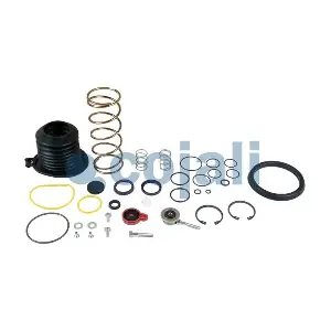 6032117 COJALI