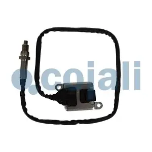 2269098 COJALI
