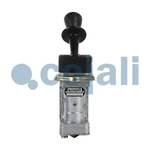 5000873223 IVECO