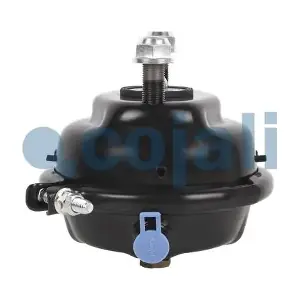 2351301 COJALI