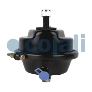 2351300 COJALI