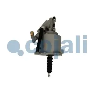 2550206 COJALI