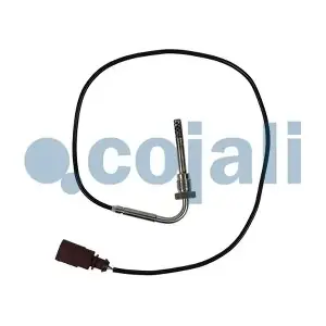 2262020 COJALI
