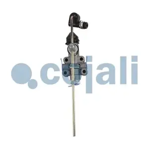 2314301 COJALI