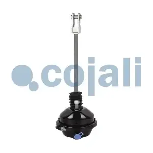 COJALI 2251102