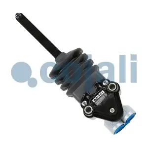 2214501 COJALI