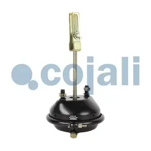 2251112 COJALI