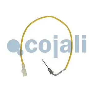 2262019 COJALI