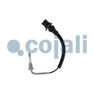 2262002 COJALI