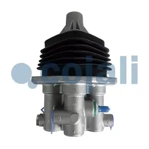 2516009 COJALI