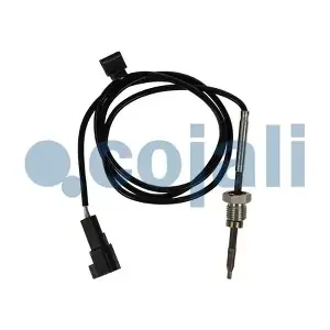 2262029 COJALI