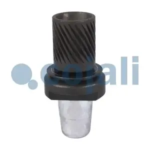 COJALI 6071000