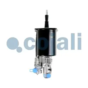 2250217 COJALI
