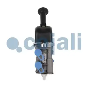 2224423 COJALI